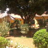 Гостевой Дом Gorilla Africa, фото 9