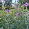 Гостиница Частный Дом Wheel Home Belomorsk, фото 10