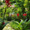 Отель Olympos Oase Hotel, фото 9