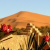 Гостевой дом La Vallée des Dunes в Мерзуге