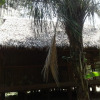 Гостевой Дом Ecolucerna Lodge, фото 6