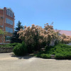 Отель Звездочка, фото 15