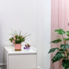 Отель Квартира Modern Lux 2, фото 9