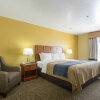 Отель Comfort Inn & Suites, фото 5