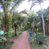 Отель Eco Coco Loco by Rotamundos, фото 7