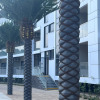 Отель Zenith Resort Hotel & SPA 5*, фото 6
