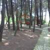 Отель Кипарисовая Усадьба, фото 43