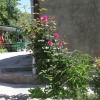 Гостевой дом B&B Ирис, фото 6