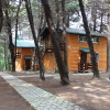 Отель Кипарисовая Усадьба, фото 45