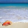 Отель Адам и Ева, фото 36