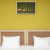 Отель Flamingo Baku, фото 32