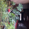 https://cdn.worldota.net/t/100x100/hotel_review/01/0c/010cf3c09f1a796ac4ee593479618acb328ee7d9.JPEG