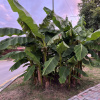 https://cdn.worldota.net/t/100x100/hotel_review/01/0e/010e210b49fd319c64c599af1a8c67357862fa24.JPEG