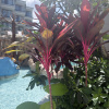 https://cdn.worldota.net/t/100x100/hotel_review/01/6e/016eeaf79026282ff6e447ba8f3da3c307401e9d.JPEG