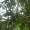 https://cdn.worldota.net/t/100x100/hotel_review/01/a2/01a2182f40ccdc5b32e21b5001f6ad71488a8d30.JPEG