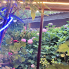 https://cdn.worldota.net/t/100x100/hotel_review/02/7e/027ebf6e3fd4a276d679832d405b9acf511e4392.JPEG
