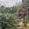 https://cdn.worldota.net/t/{size}/hotel_review/02/ef/02efebdbc2f4177ec9275bbf401e7036064b2e70.JPEG