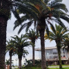 https://cdn.worldota.net/t/100x100/hotel_review/03/01/03012235ce147ed96a0ac79717458a7cedff6702.JPEG