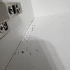 https://cdn.worldota.net/t/{size}/hotel_review/03/2d/032dc86696373cc52d45e3bc8c183bb7b6276485.JPEG