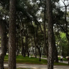 https://cdn.worldota.net/t/100x100/hotel_review/04/1d/041d45488e1c4452710dfe09deda2395f0e1291c.JPEG