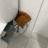 https://cdn.worldota.net/t/100x100/hotel_review/04/4b/044b67915a80765ba2bd795f553fd14a95fec2e7.JPEG