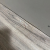 https://cdn.worldota.net/t/100x100/hotel_review/04/61/0461c4c5dd92618a966efae1b1a72e39a6d1dbd7.JPEG