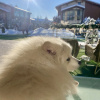 https://cdn.worldota.net/t/{size}/hotel_review/05/21/0521aaef1c89acc27647b8db46655797019270e5.JPEG