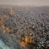 https://cdn.worldota.net/t/{size}/hotel_review/05/87/0587706f44d2ceb93542d96385eaab4e9490e30b.JPEG