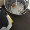 https://cdn.worldota.net/t/100x100/hotel_review/05/cd/05cd9631fed9316eb7d85325ca721b92ae449ea2.JPEG