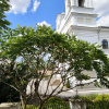 https://cdn.worldota.net/t/100x100/hotel_review/06/0b/060bff17aa109a7839ac824c5bf080790985a0ce.JPEG