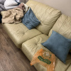 https://cdn.worldota.net/t/100x100/hotel_review/06/f5/06f506570ecb9fde70f591cedc61fdbeb1d5b63a.JPEG
