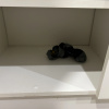 https://cdn.worldota.net/t/100x100/hotel_review/06/f6/06f6a7dfe71ec04f557be16449cf1a73a0ce3cc1.jpeg