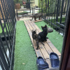 https://cdn.worldota.net/t/100x100/hotel_review/08/0d/080dc5f477033ec80b6da32dd396d35d57b4cbff.JPEG