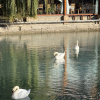 https://cdn.worldota.net/t/100x100/hotel_review/09/36/0936883e720a6b70ab9271f2452bb63812347037.JPEG