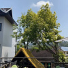 https://cdn.worldota.net/t/100x100/hotel_review/0b/91/0b9196067ce6b9cb86135365d84273b4116ea280.JPEG