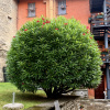 https://cdn.worldota.net/t/100x100/hotel_review/0b/c7/0bc7bed3b8ac513afcd2b25bef0fdb5aa8791999.JPEG