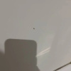 https://cdn.worldota.net/t/100x100/hotel_review/0c/50/0c50ad8473dc11b6f5f9e4ca3b64940c89a54971.JPEG