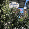 https://cdn.worldota.net/t/100x100/hotel_review/0c/bb/0cbb78463217ea7feffb5d6ca790fe3e3c0b1661.JPEG