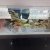https://cdn.worldota.net/t/100x100/hotel_review/0d/0e/0d0ee72a0356ec67cf673bcf5672996b6f59ddda.JPEG