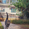 https://cdn.worldota.net/t/100x100/hotel_review/0d/20/0d2093fe0cc4edd453a586446a313bdc53ccfbef.JPEG