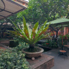 https://cdn.worldota.net/t/100x100/hotel_review/0f/79/0f798d9d16a530d798fbb59f05718a71f0648bed.JPEG