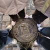 https://cdn.worldota.net/t/100x100/hotel_review/0f/e2/0fe20c7f8fe528e27635c13ed6c6e14dda4a1f37.JPEG