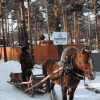 https://cdn.worldota.net/t/100x100/hotel_review/11/78/1178af287aae77784a93ecd4452dd1b899dda3da.JPEG