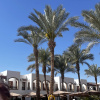 https://cdn.worldota.net/t/100x100/hotel_review/11/d4/11d4927ac41b2a00e2185ed1b9738db43e7b4e4c.JPEG