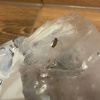 https://cdn.worldota.net/t/100x100/hotel_review/12/4a/124a6c659fd90751052ae2ad433797a2819cf990.JPEG