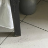 https://cdn.worldota.net/t/100x100/hotel_review/12/4f/124f7f3027c1998cbb1f71ceb4e380cc37404ef2.JPEG