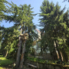 https://cdn.worldota.net/t/100x100/hotel_review/13/2c/132cab4c2219b0066e38897ff3f9450597aa7f50.JPEG