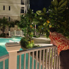https://cdn.worldota.net/t/100x100/hotel_review/14/87/14874cddd4beefbd92d795d81091868c9cf1f8b4.JPEG