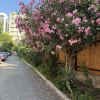 https://cdn.worldota.net/t/100x100/hotel_review/15/e0/15e0f710c9313d9bbbf1b2d1790e4f8932e3cc93.JPEG