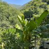 https://cdn.worldota.net/t/100x100/hotel_review/15/f6/15f65f66ec0be64eb42c382ba1fd494513356bf8.JPEG